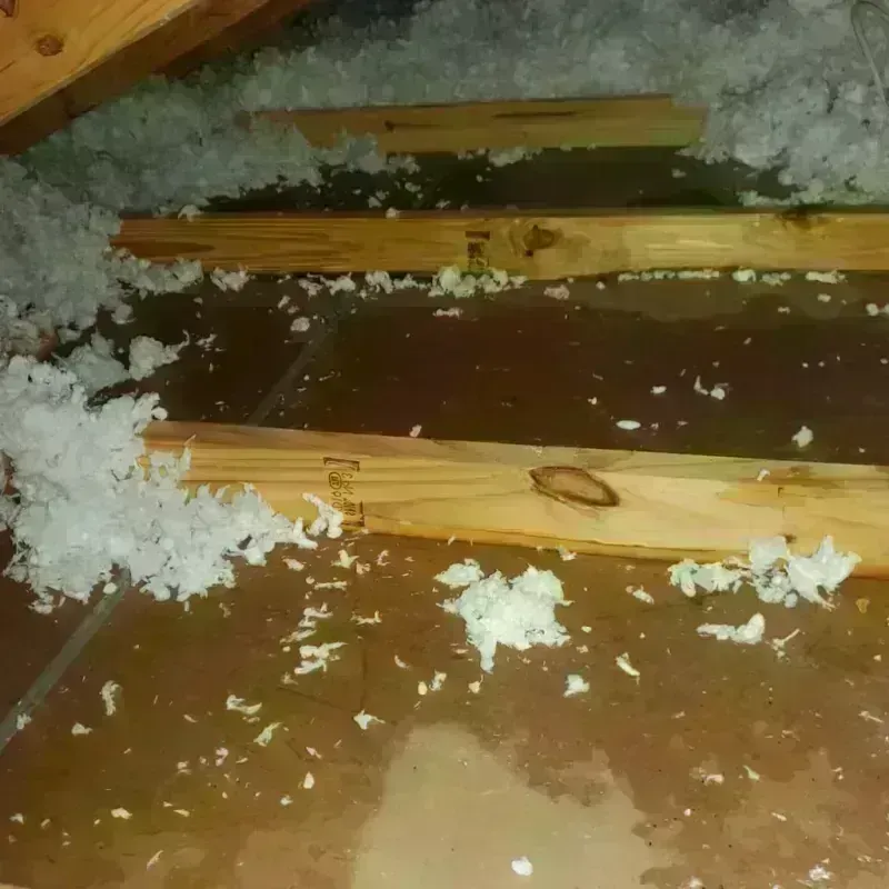 Attic Water Damage in Oconee County, GA